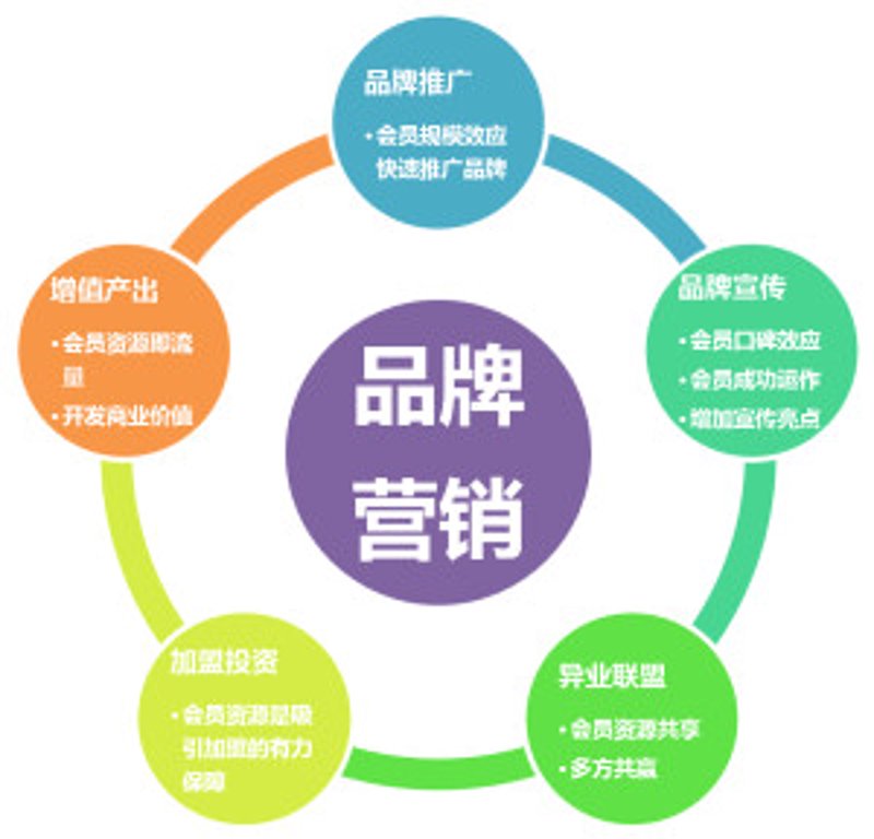在数字化转型的大潮中，媒体发布的银行业财富管理榜单正以前所未有的速度改变着行业的生态。本文将通过一系列步骤，带你了解如何从众多银行品牌中脱颖而出，成为最受关注的财富管理佼佼者。
